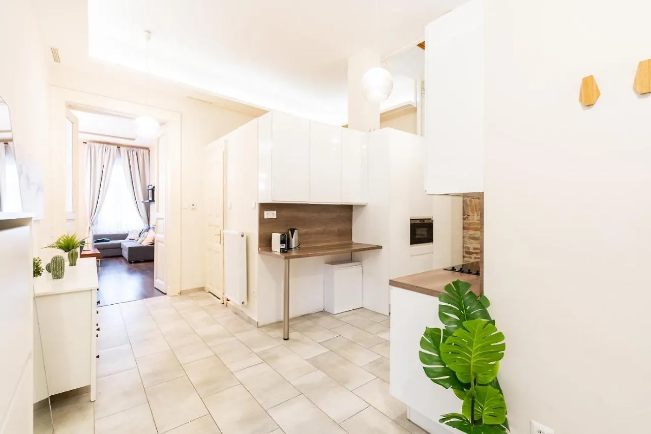 Spacious Luxury Apartment At The Heart Of Budapest